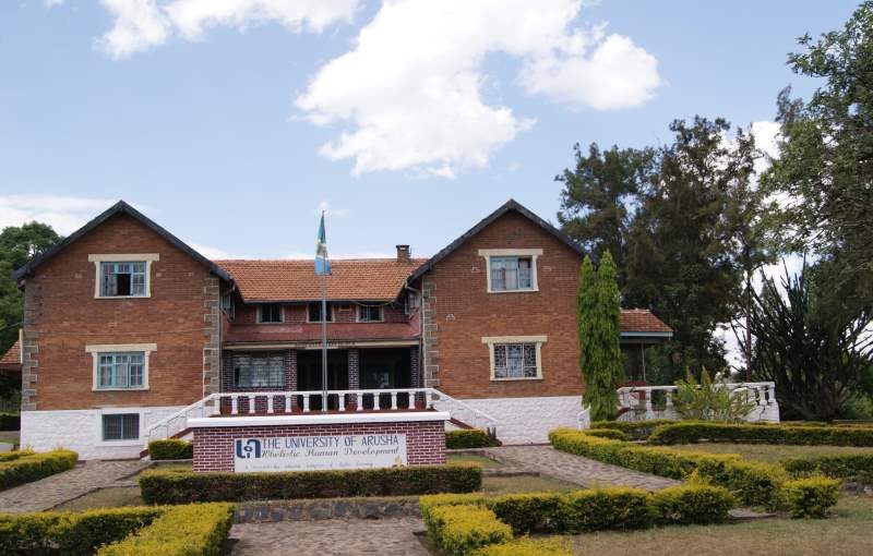 arusha-Optimized arusha-Optimized